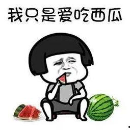 娱乐瓜都是在哪里吃的啊